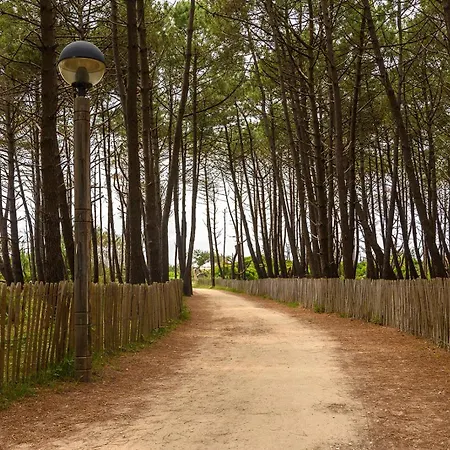 Nocleg ze śniadaniem Biscadodo, Joignable Au Zero6trente53cinquante60 *