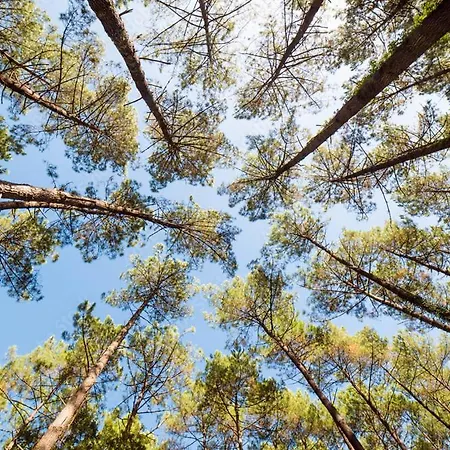 Bed and breakfast Biscadodo, Joignable Au Zéro6trente53cinquante60 *