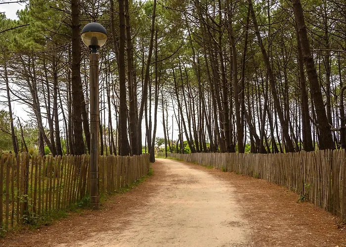 Nocleg ze śniadaniem Biscadodo, Joignable Au Zero6trente53cinquante60 *