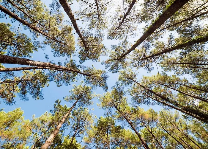 ベッド・アンド・ブレックファスト Biscadodo, Joignable Au Zero6trente53cinquante60 *